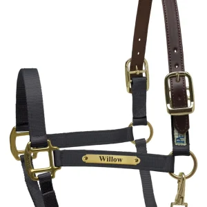 Perri's Personalized Premium Nylon Safety Halter