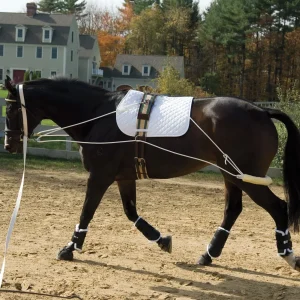 Pessoa® Training System