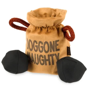 Pet Play Bag of Coal