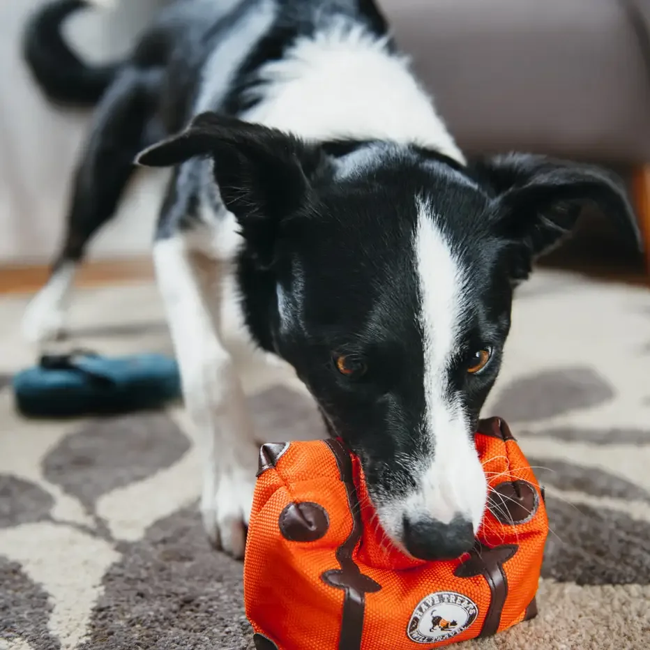 Pet Play Globetrotter Suitcase Dog Toy - Image 2