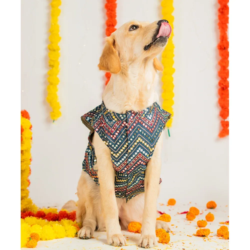 Pet Set Go Sherwani for Dogs (Blue)