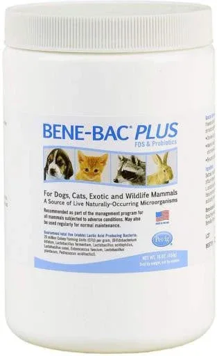 PetAg Bene-Bac Powder 1lb {L-1}202000