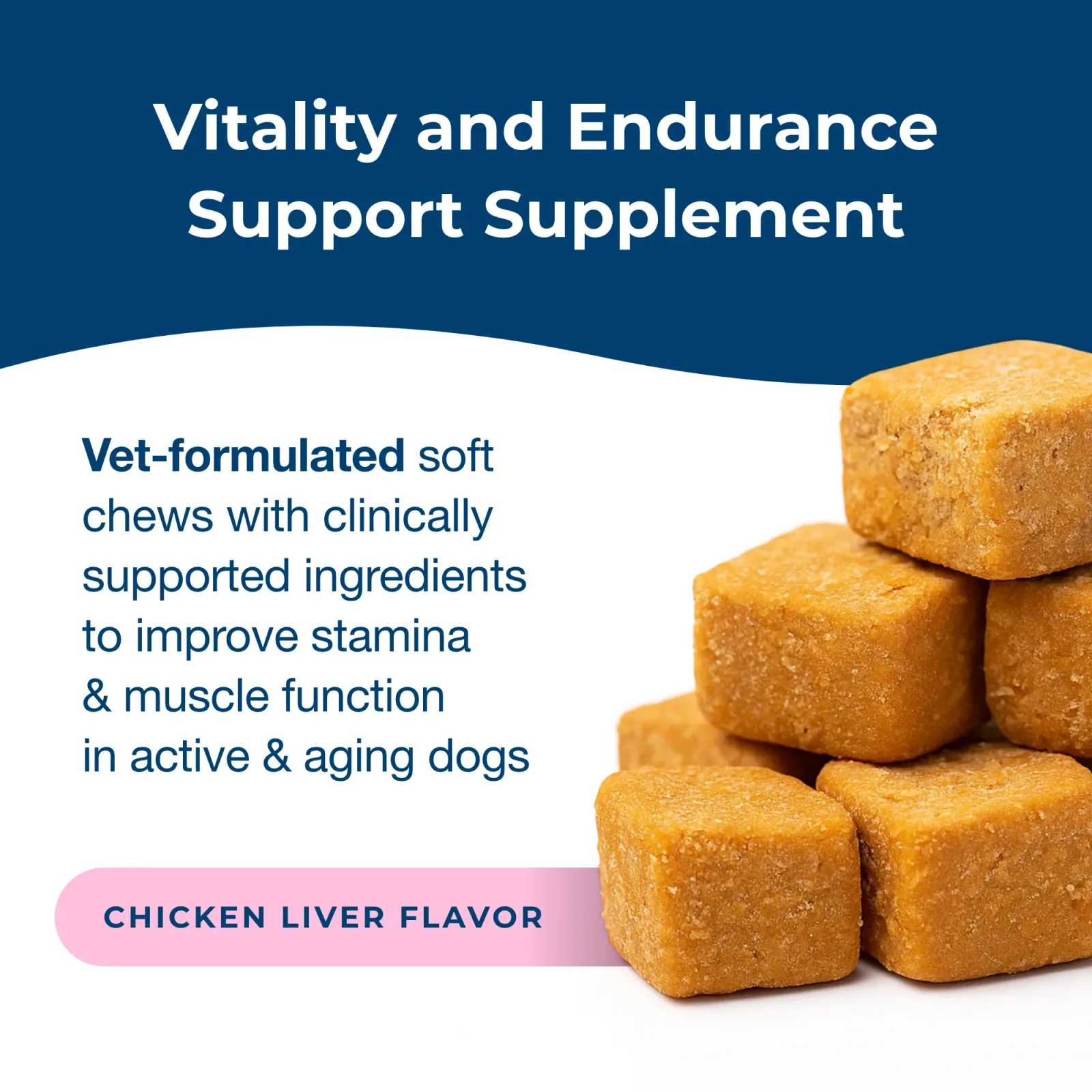 PetAg Dyne Soft Chews, Endurance & Vitality 60ct - Image 2