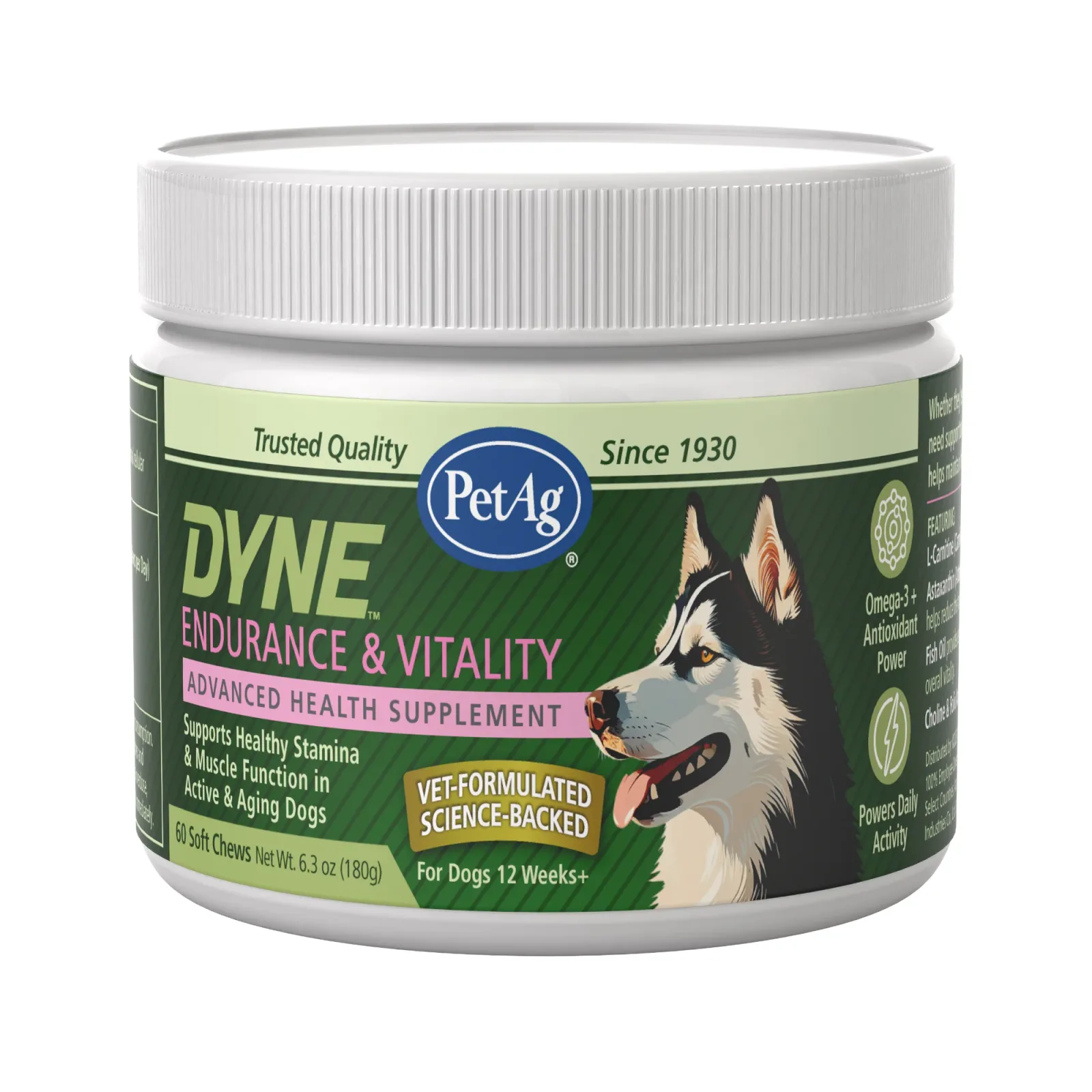 PetAg Dyne Soft Chews, Endurance & Vitality 60ct