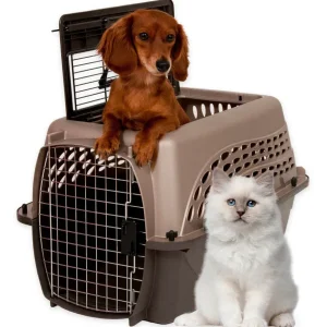 Petmate 2 Door Top Load Dog Kennel Metallic Pearl Tan, Coffee Grounds 24 in
