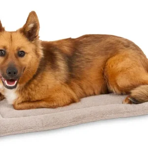 Petmate Kennel Dog Mat Grey 23.5 Inches X 16.5 Inches