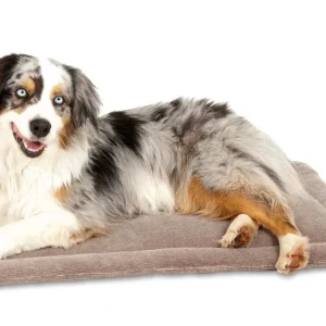 Petmate Kennel Dog Mat Grey 28.5 Inches X 18.5 Inches