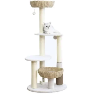 PetPals Pharaoh V2 5