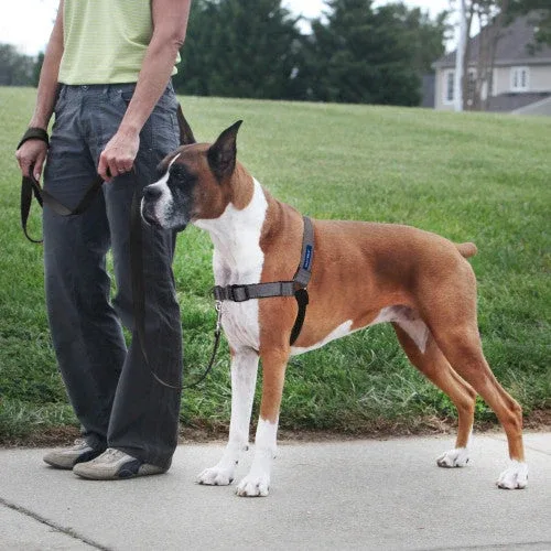 PetSafe Deluxe Easy Walk Steel Dog Harness Black/Steel LG - Image 2