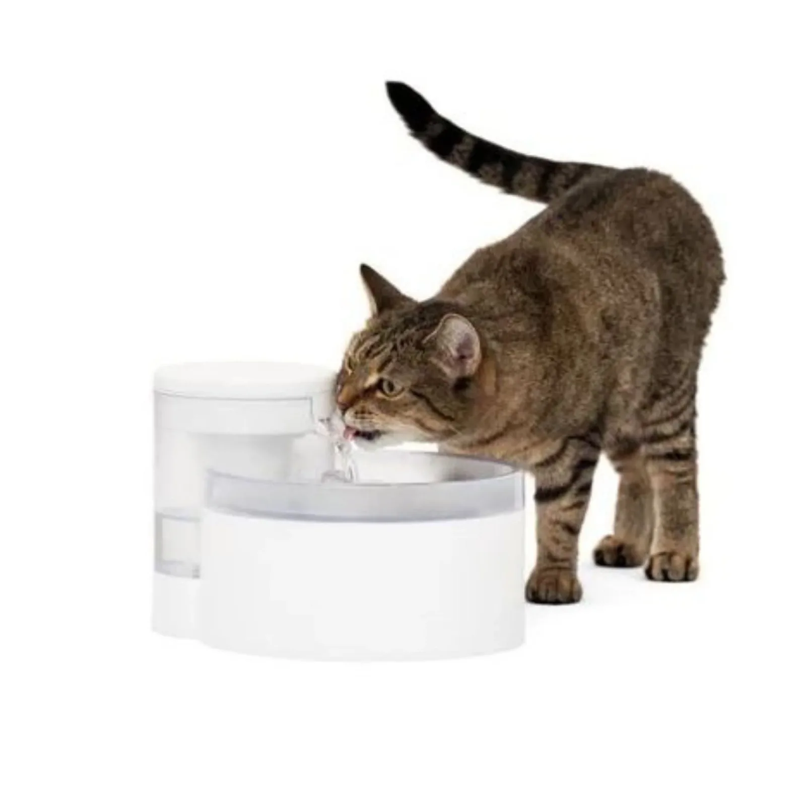 PetSafe Dog & Cat Outlast Pumpless Fountain 90 oz - Image 2