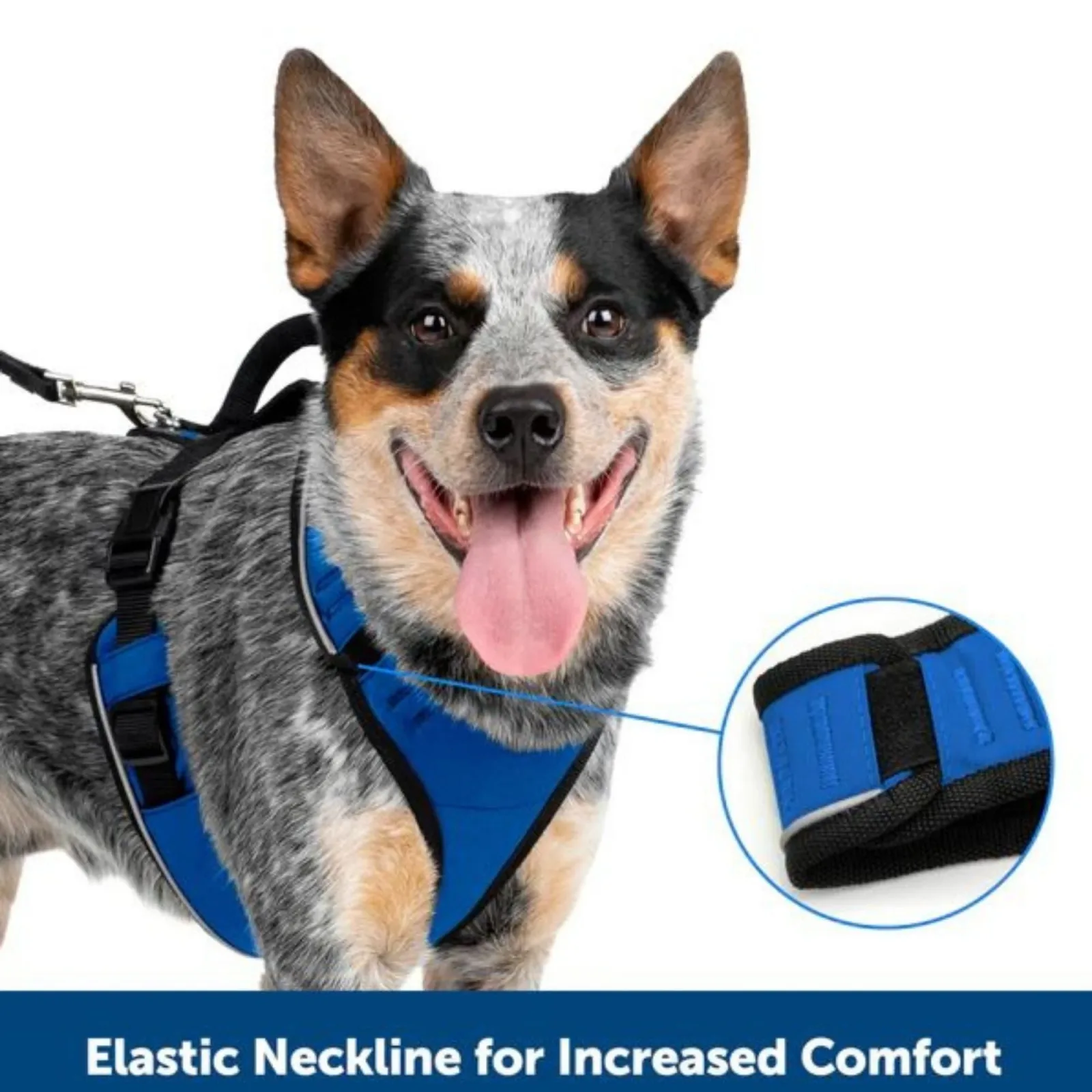 PetSafe Dog Easy Sport Dog Harness, Black Small - Image 2