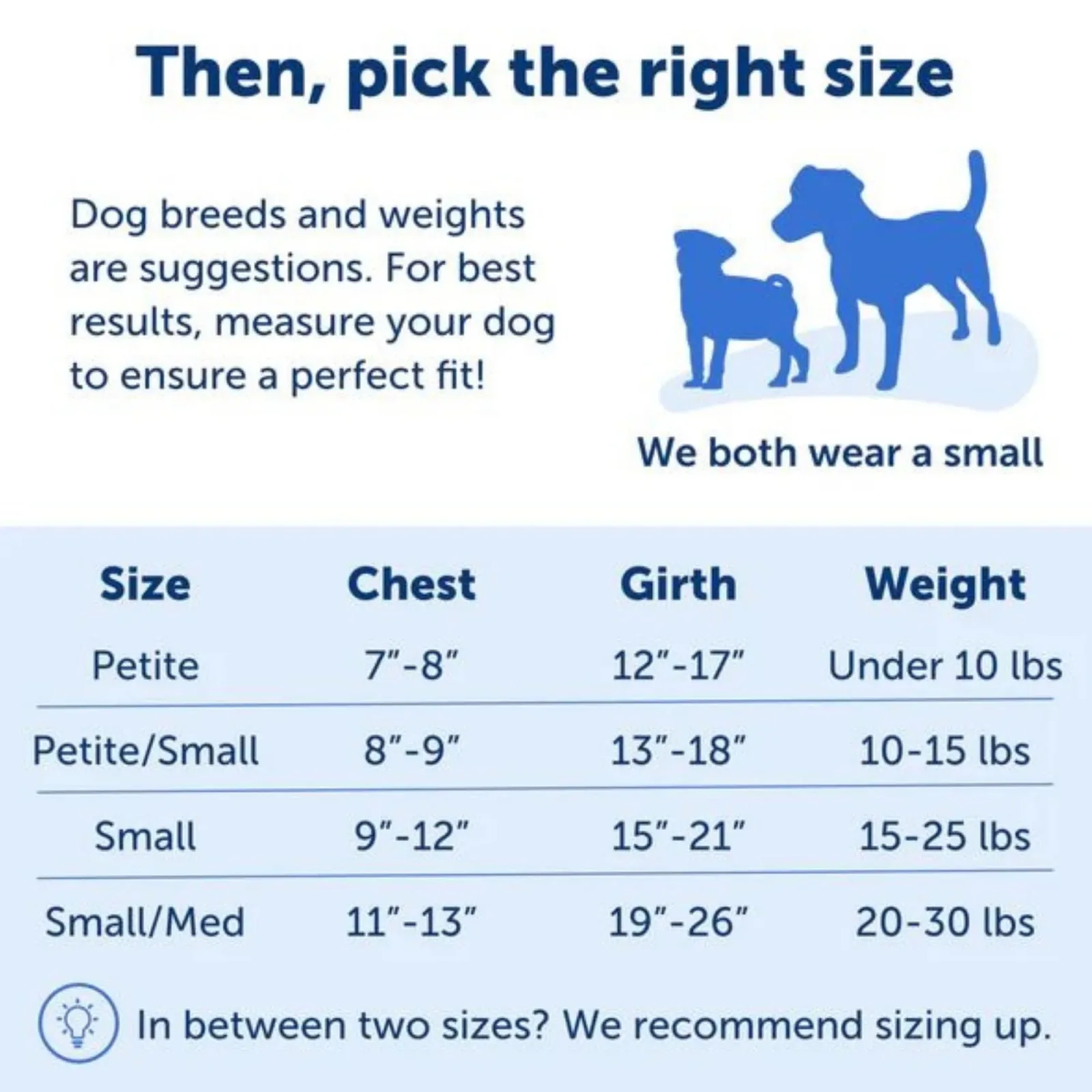 PetSafe Dog Easy Walk Dog Harness, Blue Small - Image 2