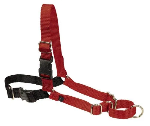 PetSafe Easy Walk Dog Harness Black/Red LG - Image 2