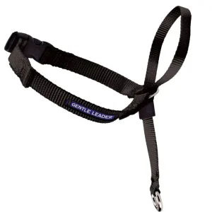 PetSafe Headcollar No-Pull Dog Collar Black SM