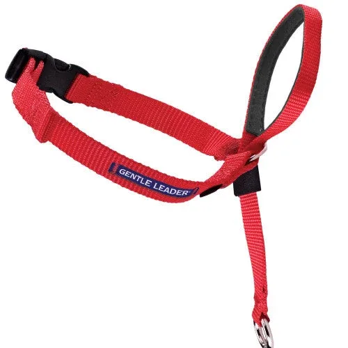 PetSafe Headcollar No-Pull Dog Collar Red SM - Image 2