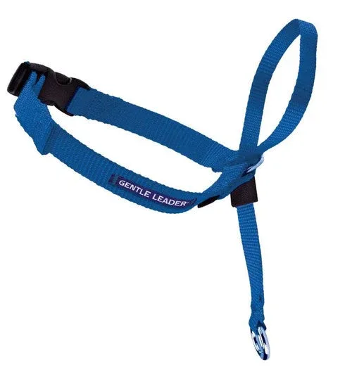 PetSafe Headcollar No-Pull Dog Collar Royal Blue MD - Image 2