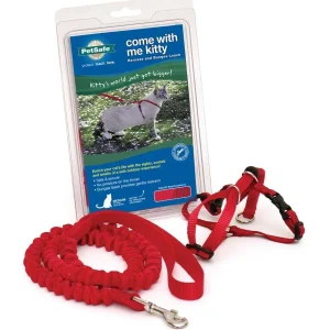 PetSafe Premier Come With Me Kitty Harness & Bungee Leash Combo Red/Cranberry LG