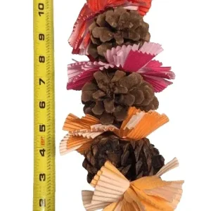Pinecone Bird Toy