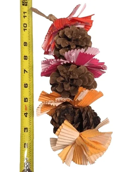 Pinecone Bird Toy