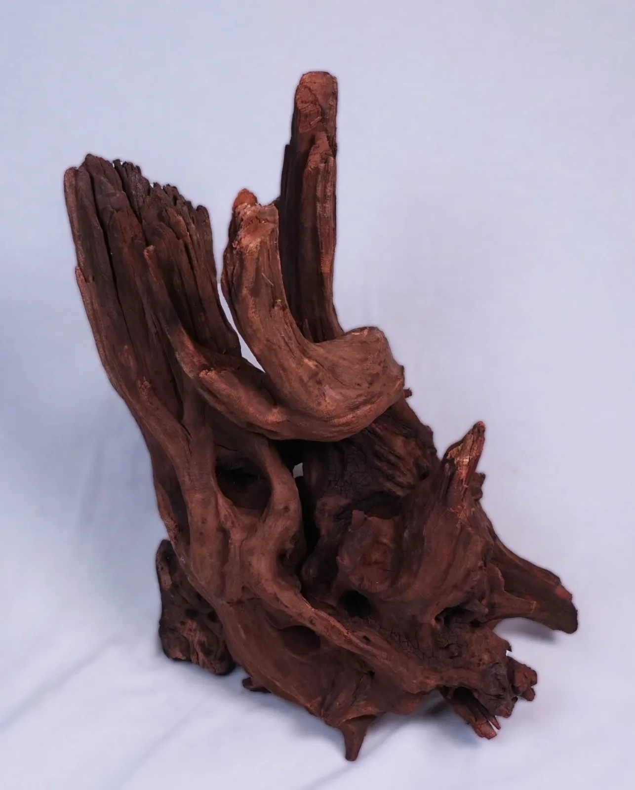 Pisces USA Aqua Natural Ancient Wood