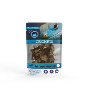 Pisces USA Aqua Natural Cricket Single Pack
