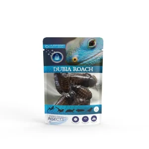 Pisces USA Aqua Natural Dubia Roach Single Pack