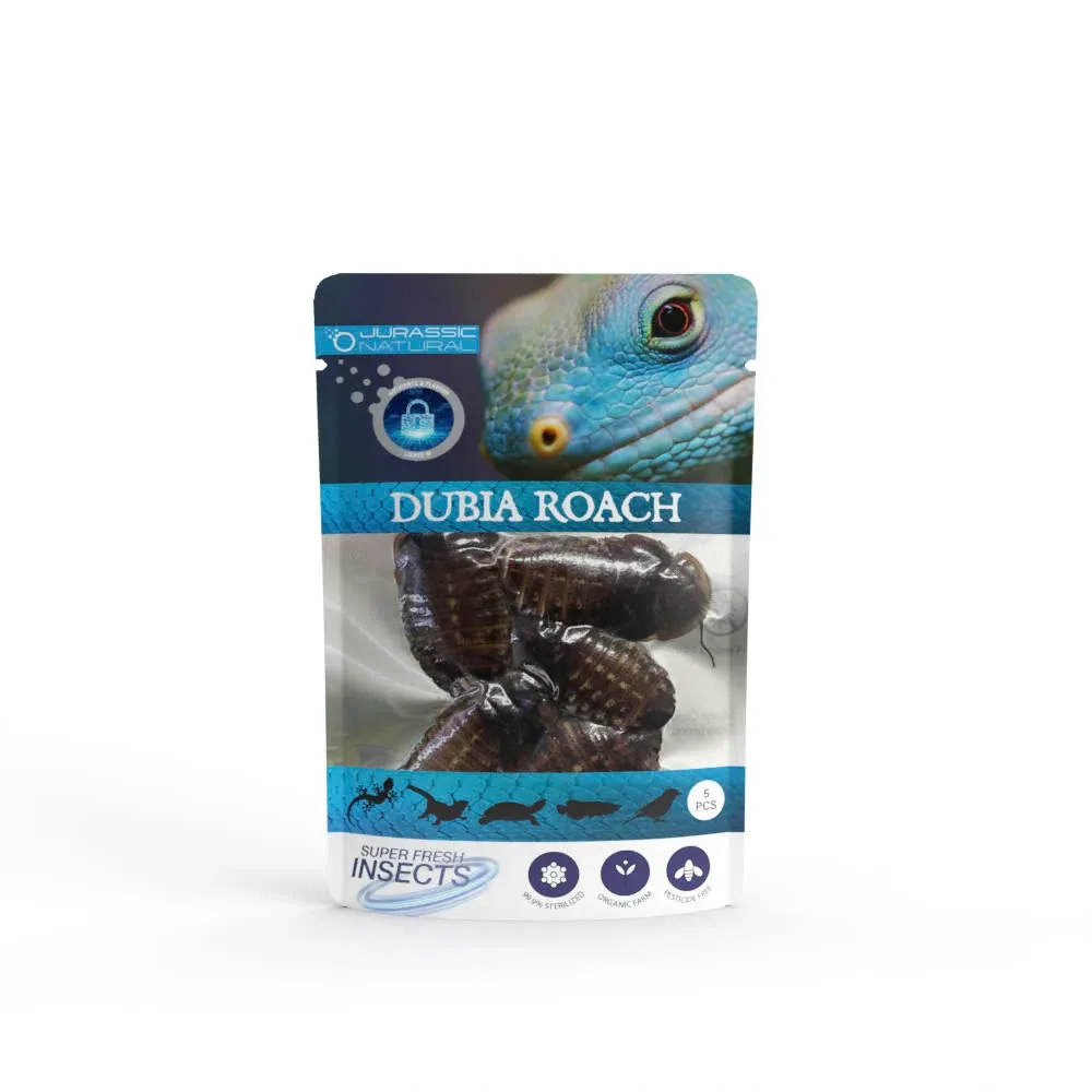 Pisces USA Aqua Natural Dubia Roach Single Pack