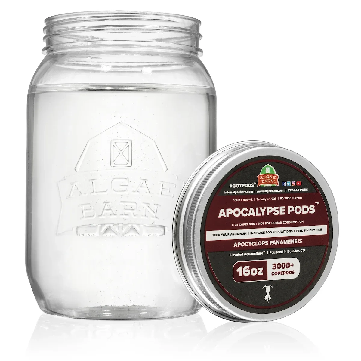 Pods Apocalypse 12000+ (64 oz) Live Copepods (Apocyclops Panamensis) - Algae Barn