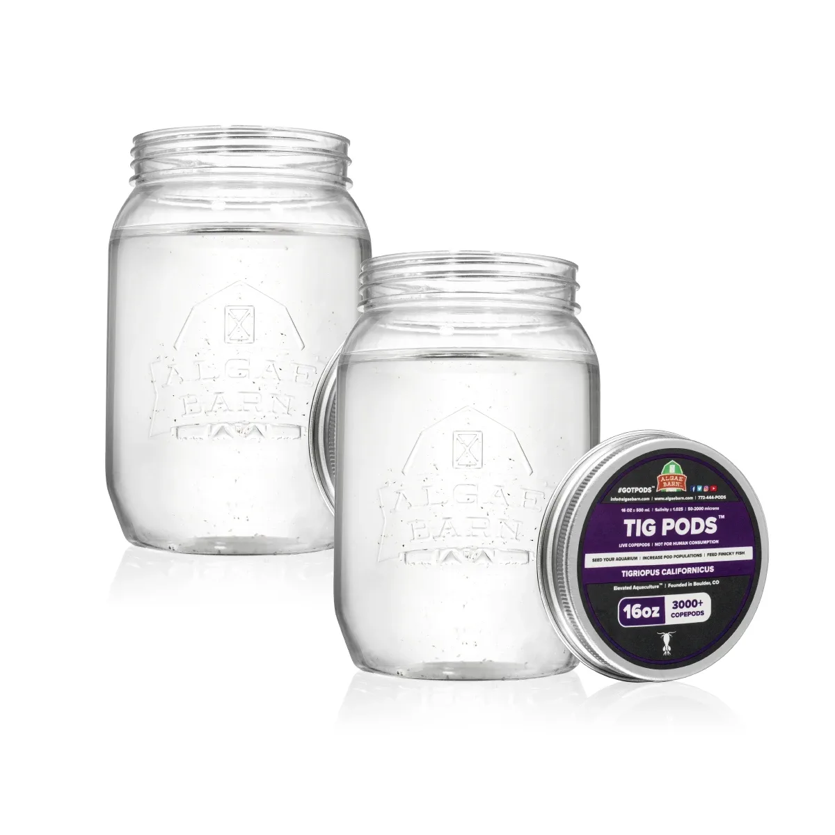 Pods Tig 6000+ (32 oz) Live Copepods (Tigriopus Californicus) - Algae Barn