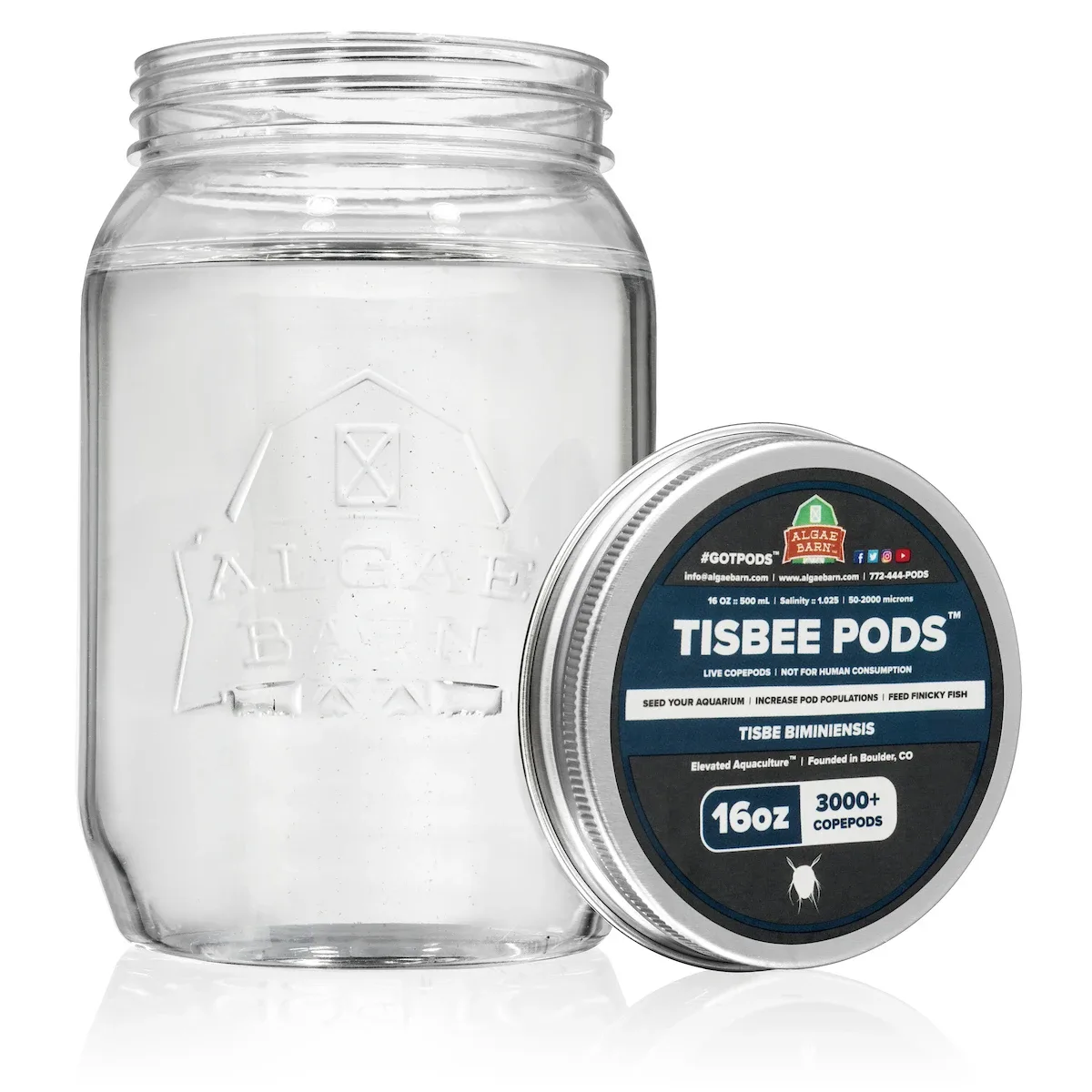 Pods Tisbee 12000+ (64 oz) Live Copepods (Tisbe Biminiensis) - Algae Barn