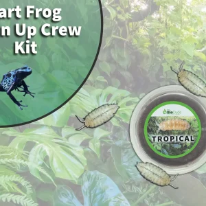 Poison Dart Frog Clean Up Crew Pack FREE SHIPPING