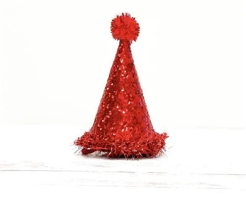 Pooch Party Hat in Red - Image 2
