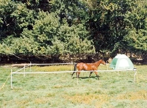 Powerfields Portable Corral - Image 2