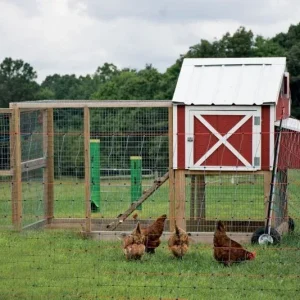 Powerfields Posi/Negi Commercial Poultry Pen