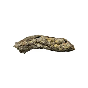 Premium Cork Bark Tubes, Extra Small