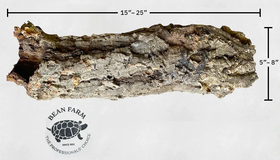 Premium Cork Bark Tubes, Large - Image 2