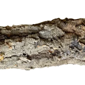 Premium Cork Bark Tubes, Large