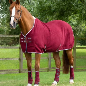 PremTex Horse Cooler Rug Burgundy