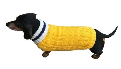 Preppy Puppy Collection in Yellow
