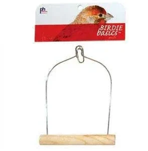 Prevue 389 Birdie Basics Swing 5x7" {L+b}480629