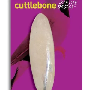 Prevue Cuttlebone Natural 6in LG 1pk