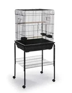 Prevue Pet Products Cage 25x21 Parrot Square Roof-97756 {L-B} C=