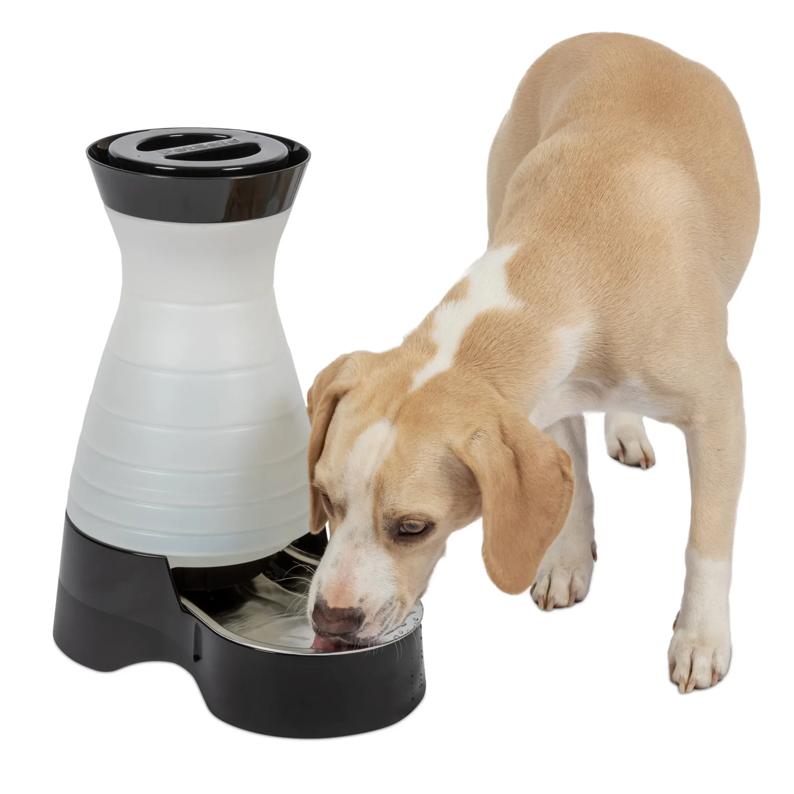 Healthy Pet Water Station™ - Image 2