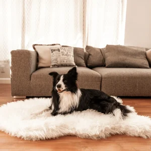 PupRug by Paw.com® Faux Fur Orthopedic Dog Bed - Curve Polar White