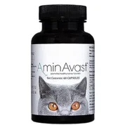 AminAvast
