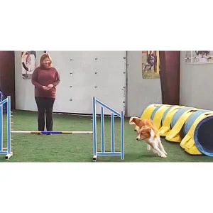 Clean Run Truly Independent Backsides