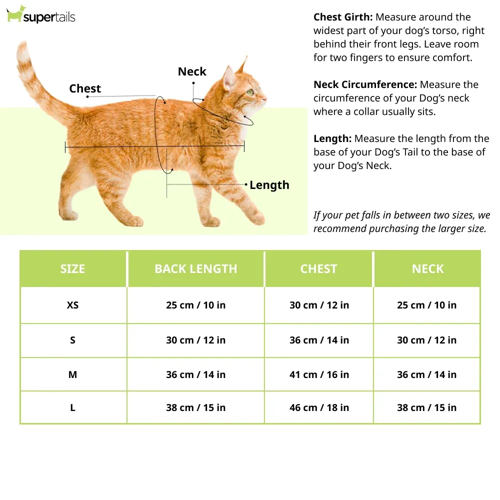 Pawsindia Traditional Royal Brocade Kurta for Cats (Aqua Green) - Image 2