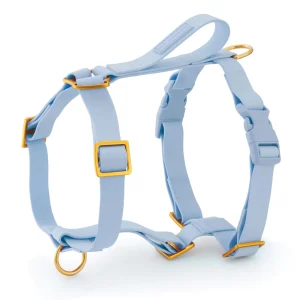 Active Flex Dog Harness - With Handle (M/L), Alpine