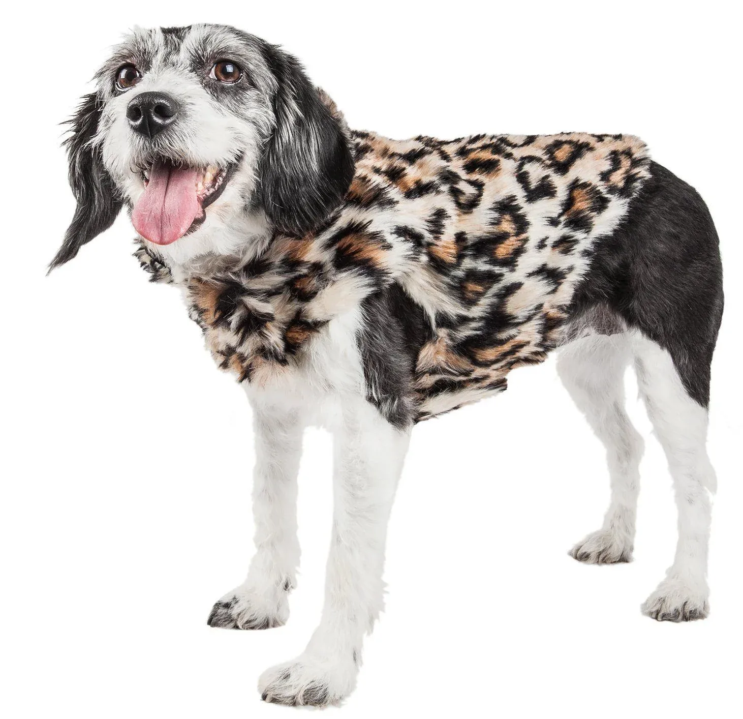 Pet Life ® Luxe 'Lab-Pard' Dazzling Leopard Patterned Mink Fur Dog Coat