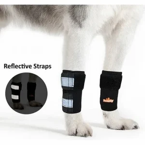 NeoAlly Dog Front Leg Braces: Enhance Safety with Reflective Straps (Pair)